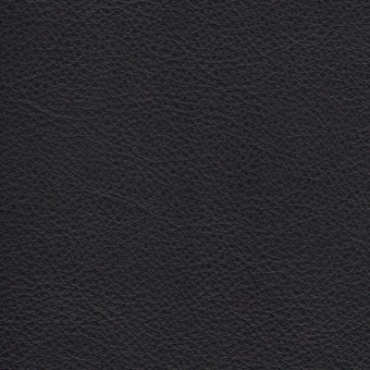 FABRIC Leather Due : Due / Blue FABRIC Leather Due : Due / Blue